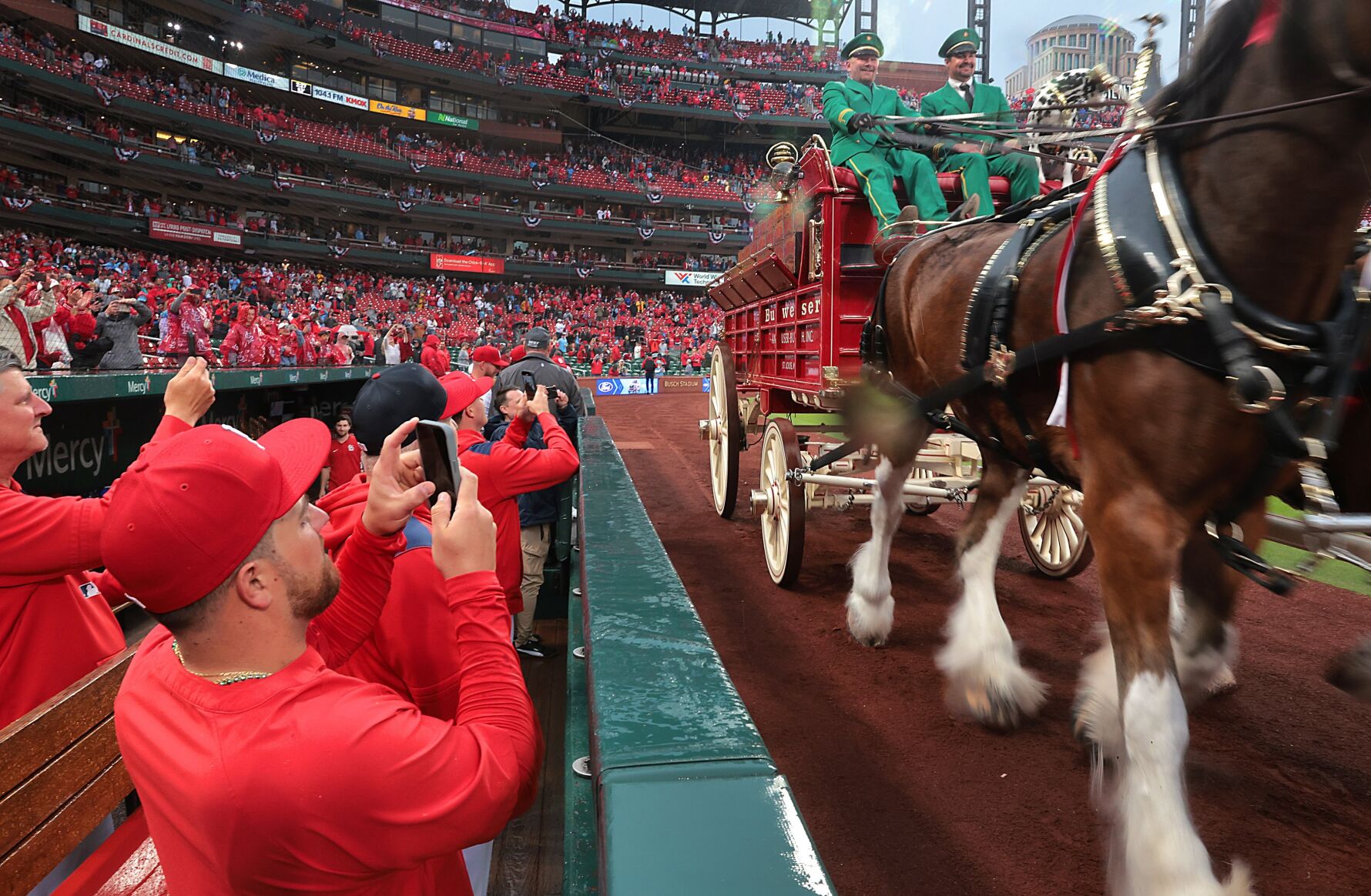 Cardinals fans soaked as they await season opener against Twins